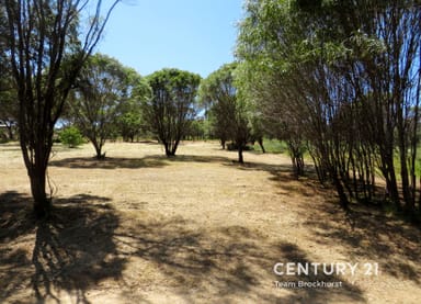 Property 57 Toodyay Street, Toodyay WA 6566 IMAGE 0