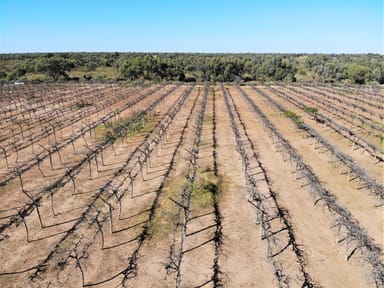 Property Lot 48 Menindee /Wilcannia Road, Menindee NSW 2879 IMAGE 0