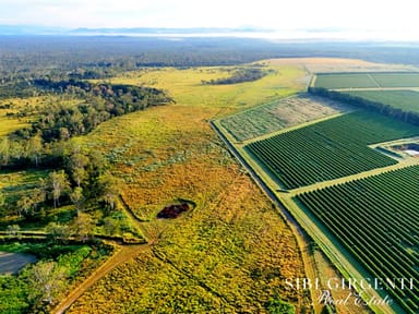 Property 326 Springs Road, Paddys Green QLD 4880 IMAGE 0