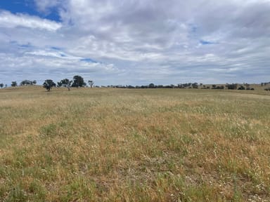 Property Lot 4-5, 3 Cooney's Creek Road, JUGIONG NSW 2726 IMAGE 0