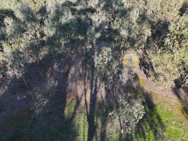 Property Langley Lane, MCINTYRE VIC 3472 IMAGE 0