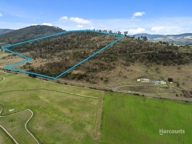 Property 212 Middle Tea Tree Road, RICHMOND TAS 7025 IMAGE 0