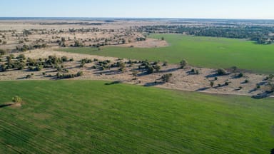 Property 20 Caswell Street, Coonamble NSW 2829 IMAGE 0