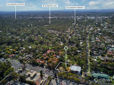 Property 241-243 Canterbury Road, Blackburn VIC 3130 IMAGE 0