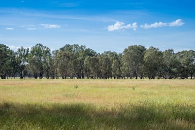 Property CA29A Baddaginnie-Benalla Road, BADDAGINNIE VIC 3670 IMAGE 0