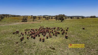 Property 735 Kaludabah Road, Mudgee NSW 2850 IMAGE 0