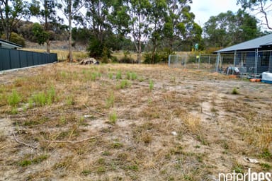 Property 85 Parkfield Drive, Youngtown TAS 7249 IMAGE 0