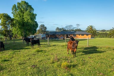 Property 180 Hewens Road, BROMBIN NSW 2446 IMAGE 0