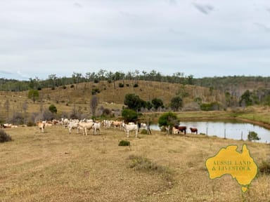 Property 2360 MONTO MOUNT PERRY ROAD, YARROL QLD 4630 IMAGE 0