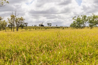Property Roma QLD 4455 IMAGE 0