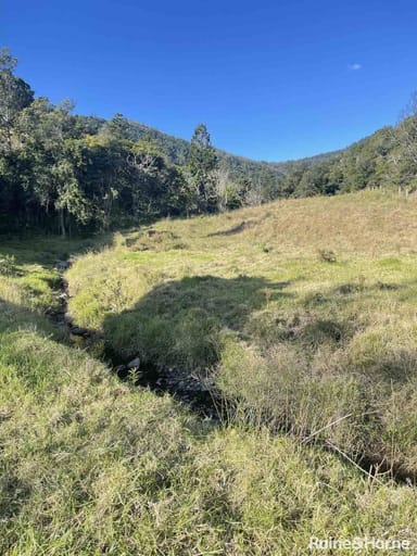 Property Lot 271 Dip Road, Running Creek QLD 4287 IMAGE 0