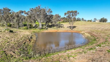 Property 31 Tullamore Road, TAMWORTH NSW 2340 IMAGE 0