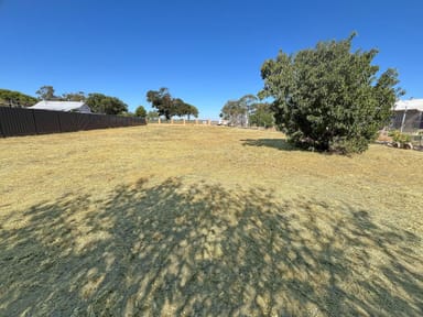 Property 48 Aitken Avenue, Donald VIC 3480 IMAGE 0