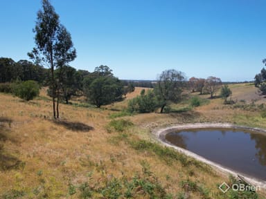 Property 20 Holes Road, Mount Taylor VIC 3875 IMAGE 0