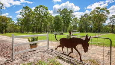 Property 1072 Round Hill Road, CAPTAIN CREEK QLD 4677 IMAGE 0
