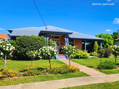 Property 102 West Avenue, GLEN INNES NSW 2370 IMAGE 0