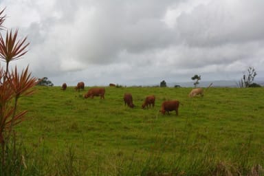 Property 5387B Palmerston Highway, Millaa Millaa QLD 4886 IMAGE 0