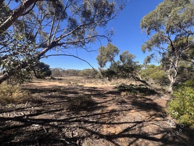 Property Lot 31 Black Hill Road, Cambrai SA 5353 IMAGE 0