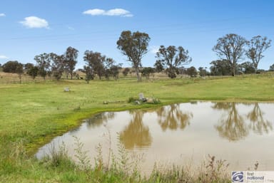 Property 6 Stringybark Place, Manton NSW 2582 IMAGE 0