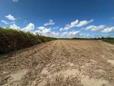 Property Lot 2 Bruce Highway, EL ARISH QLD 4855 IMAGE 0