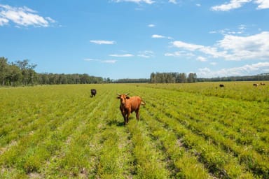 Property 1205 Maria River Road, LIMEBURNERS CREEK NSW 2444 IMAGE 0