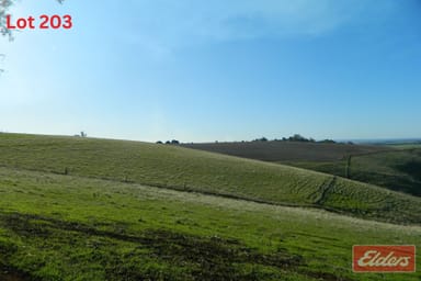 Property 203, Gawler One Tree Hill Road, Gawler SA 5118 IMAGE 0