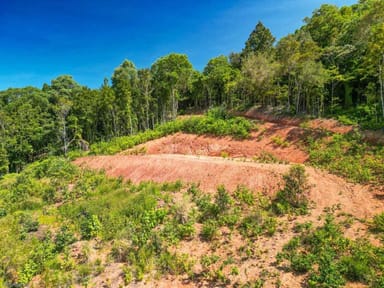 Property Lot 11 Whitehead Road, Lower Cowley QLD 4871 IMAGE 0