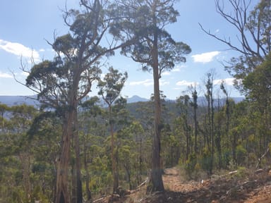 Property Lot 1 Halls Track Road, PELVERATA TAS 7150 IMAGE 0