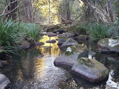 Property 5005 Kyogle Road, CAWONGLA NSW 2474 IMAGE 0