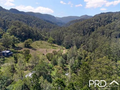 Property 1198 Horseshoe Creek Road, Upper Horseshoe Creek NSW 2474 IMAGE 0