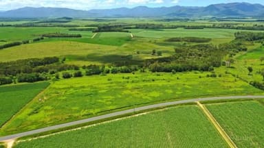 Property Lot 14 Davidson Rd, Munro Plains QLD 4854 IMAGE 0