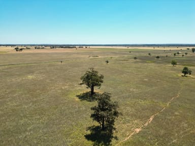 Property 251L Mogriguy Road, Dubbo NSW 2830 IMAGE 0