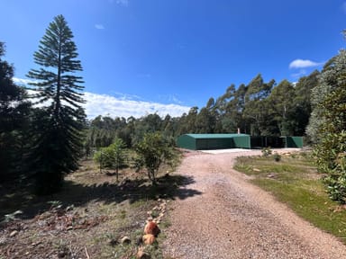 Property 131 Cunninghams Road, Western Creek TAS 7304 IMAGE 0