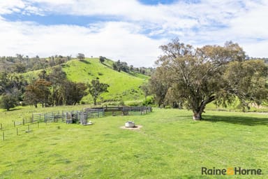 Property Lot 3 2553 Campfire Road, WALCHA NSW 2354 IMAGE 0