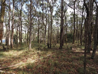 Property Lot 114 Pine Court, Dales Creek VIC 3341 IMAGE 0