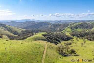 Property Lot 2, 2553 Campfire Road, WALCHA NSW 2354 IMAGE 0