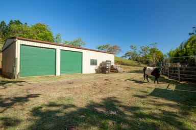 Property 788 Millaa Millaa Malanda Road, Minbun QLD 4872 IMAGE 0