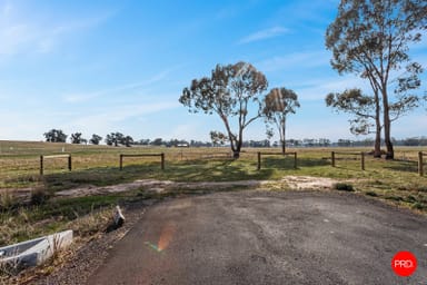 Property 295 Pethericks Road, Goornong VIC 3557 IMAGE 0