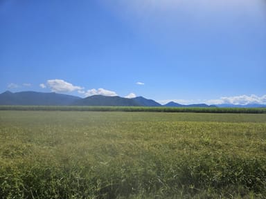 Property 2, Hawkins Creek Road, Hawkins Creek QLD 4850 IMAGE 0
