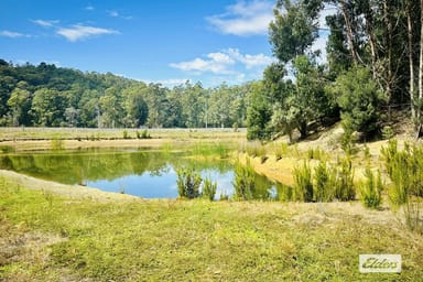 Property 346 Wilmot Road, Forth TAS 7310 IMAGE 0