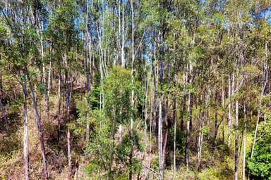 Property Lot 138 & Borhams Road, Belbora NSW 2422 IMAGE 0