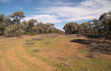 Property 2289 Bora Whyman Road, Bourke NSW 2840 IMAGE 0