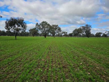 Property 1 Klinberg Road, Jindera NSW 2640 IMAGE 0