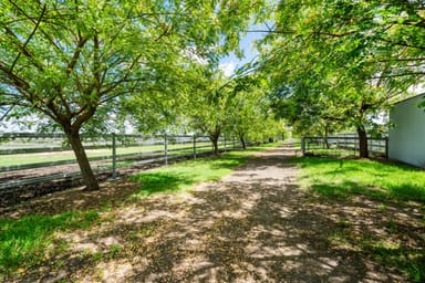 Property 58 Hausler Road, Pittsworth QLD 4356 IMAGE 0