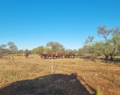 Property Koonmarra Station, Meekatharra WA 6642 IMAGE 0