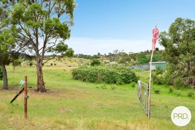 Property 244 Molesworth Road, MOLESWORTH TAS 7140 IMAGE 0