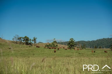 Property Lot 28, 46 Lynches Creek Road, WIANGAREE NSW 2474 IMAGE 0