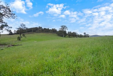 Property 1525 Fosterton Road, FOSTERTON NSW 2420 IMAGE 0