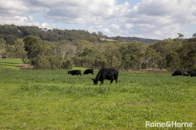 Property Lot 2, 2060 Brayton Road, BIG HILL NSW 2579 IMAGE 0