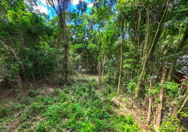 Property 8 Barklya Close, KAMERUNGA QLD 4870 IMAGE 0